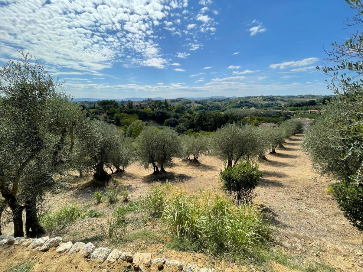 Oliveta del Verde Appartamento con Grande Giardino 500mt dal Centro Siena Esterno foto